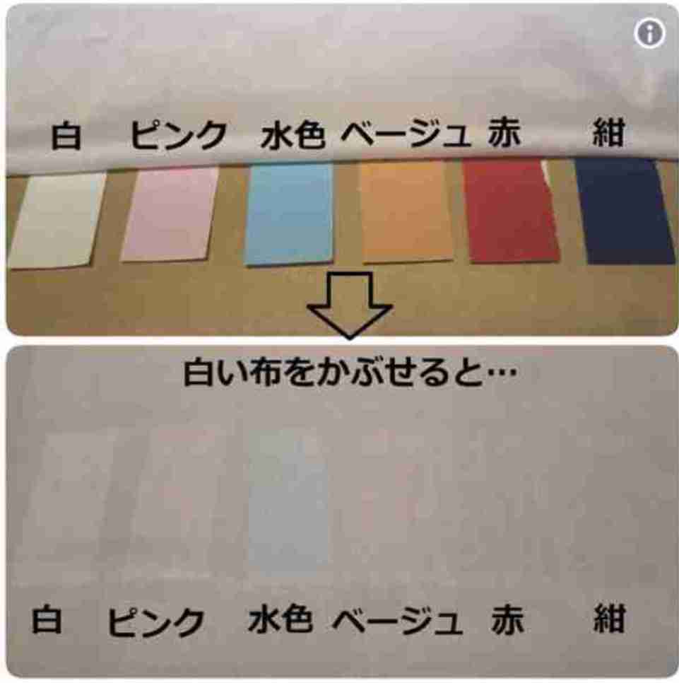 白Tでも透けないブラって？ 女性約100人調査「白T、白ボトムスの透け対策」