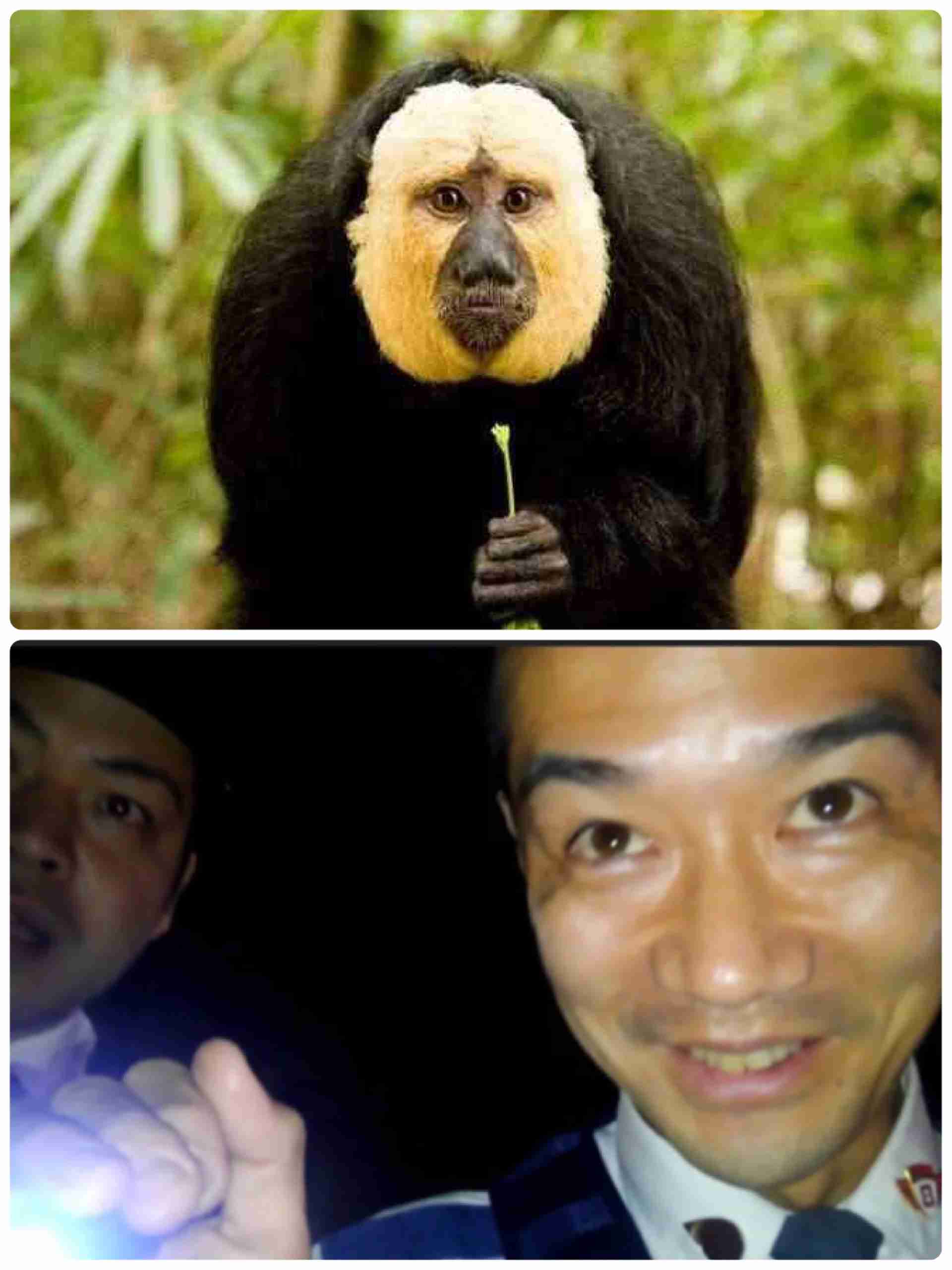 今夜、夫が元カノと会う現場を見に行ってもいいか