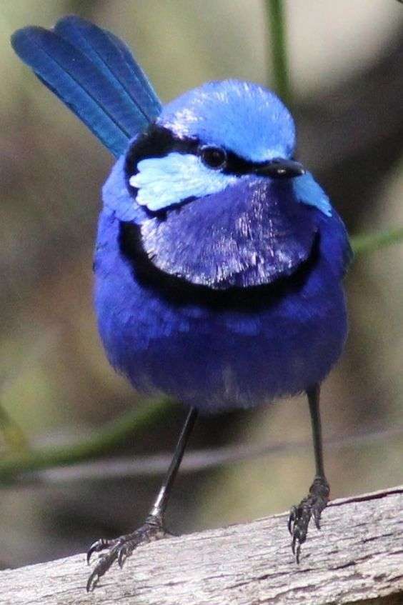 幸せな人が書き込むトピ【妬み禁止】