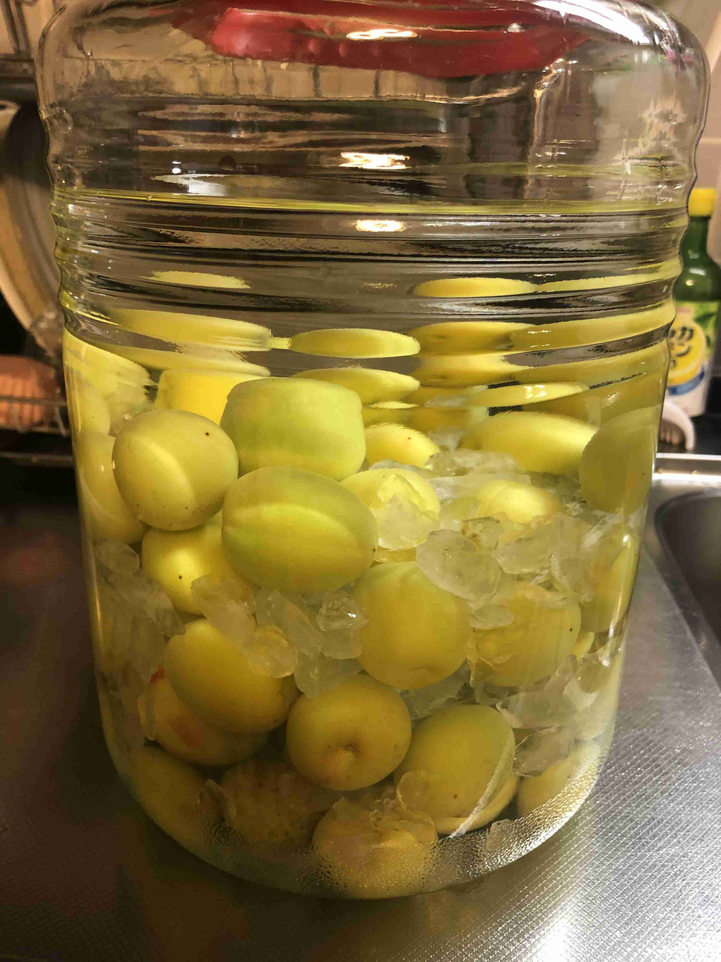 もう梅酒は漬けましたか〜？