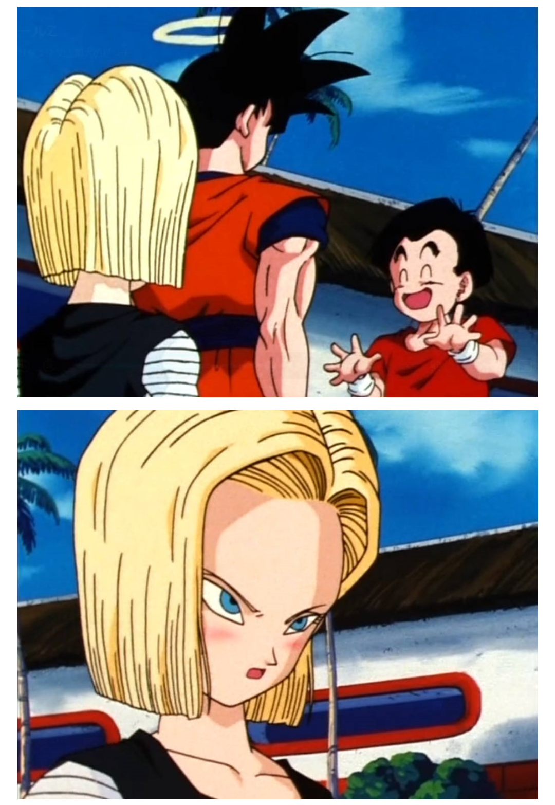 【もしも】安楽死ができたらどうしますか?