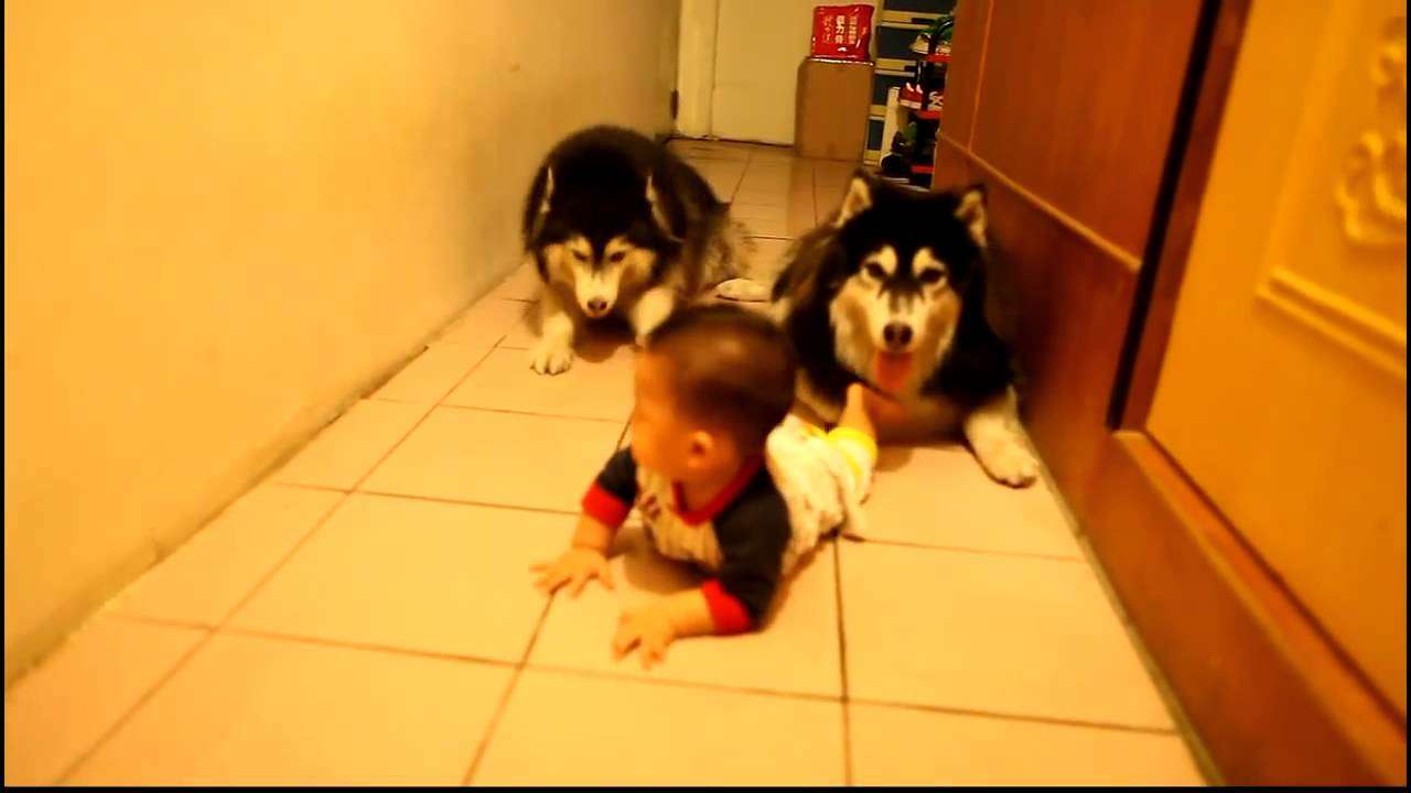 【子供】赤ちゃんの可愛さについて語るトピ！