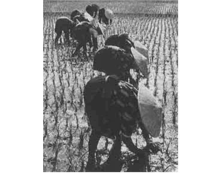 日本の昔の写真が見たい！パート2