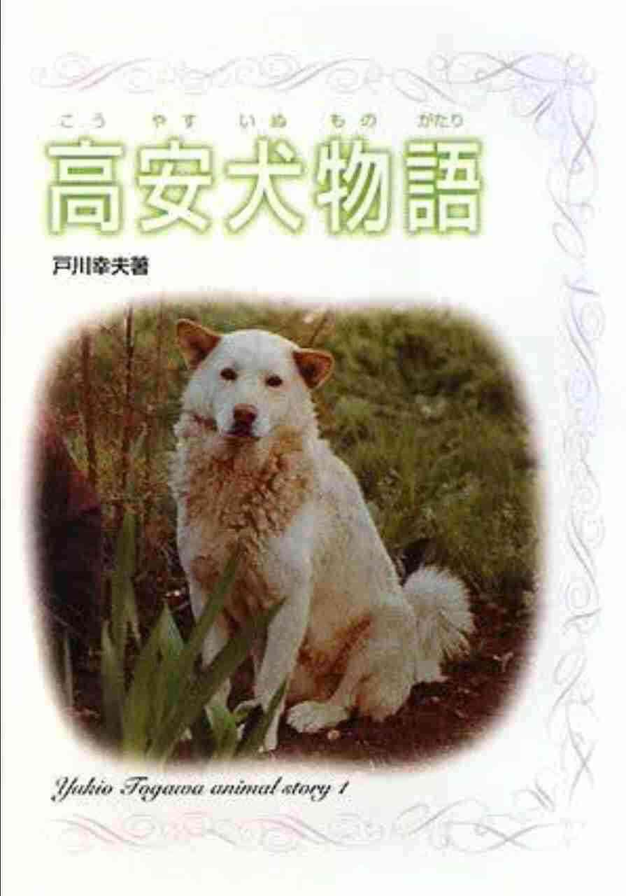 昭和に書かれたおすすめ小説！