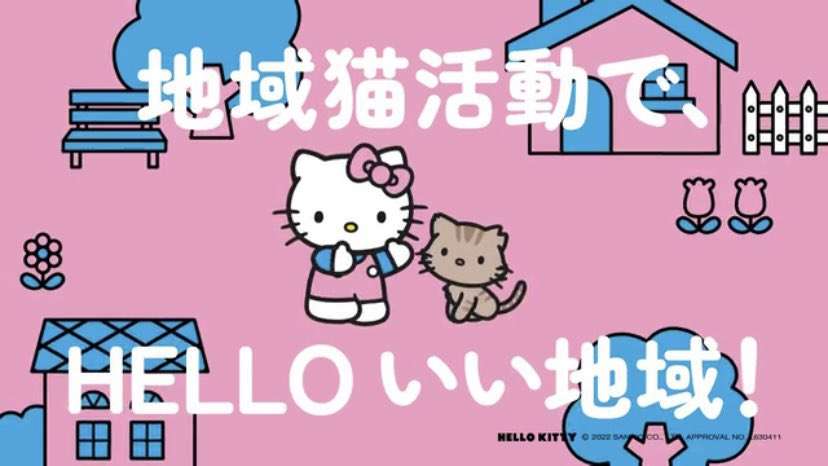 仔猫を拾いました。