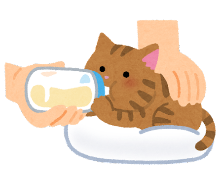 仔猫を拾いました。
