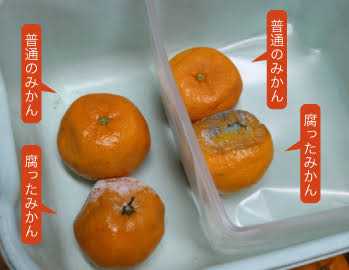 まるでさつま揚げ! 破損し除去した35年超の豊胸バッグに衝撃(米)<動画あり>