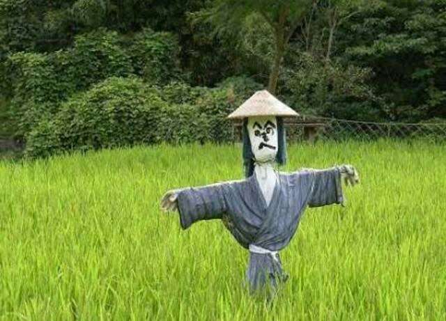 【健康】予想以上に効果があったこと