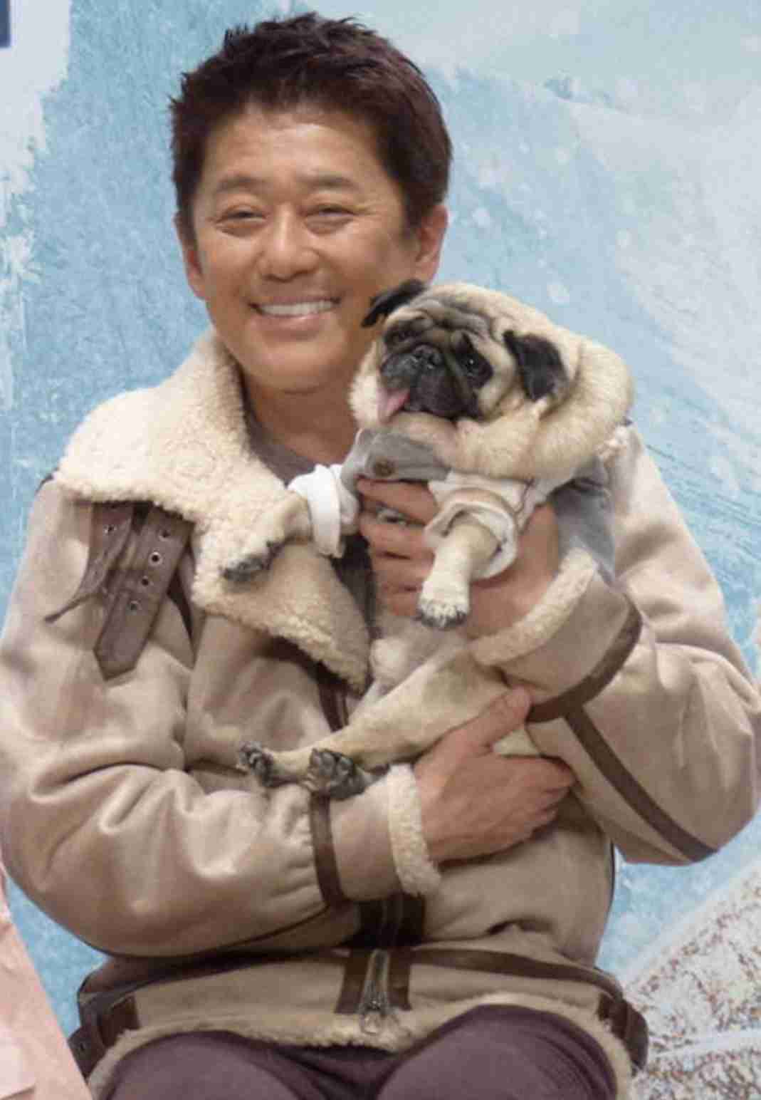 犬猫の「販売やめませんか」…坂上忍さんが目指す寄付頼みの動物保護改革 保護ハウス“さかがみ家”が描く未来