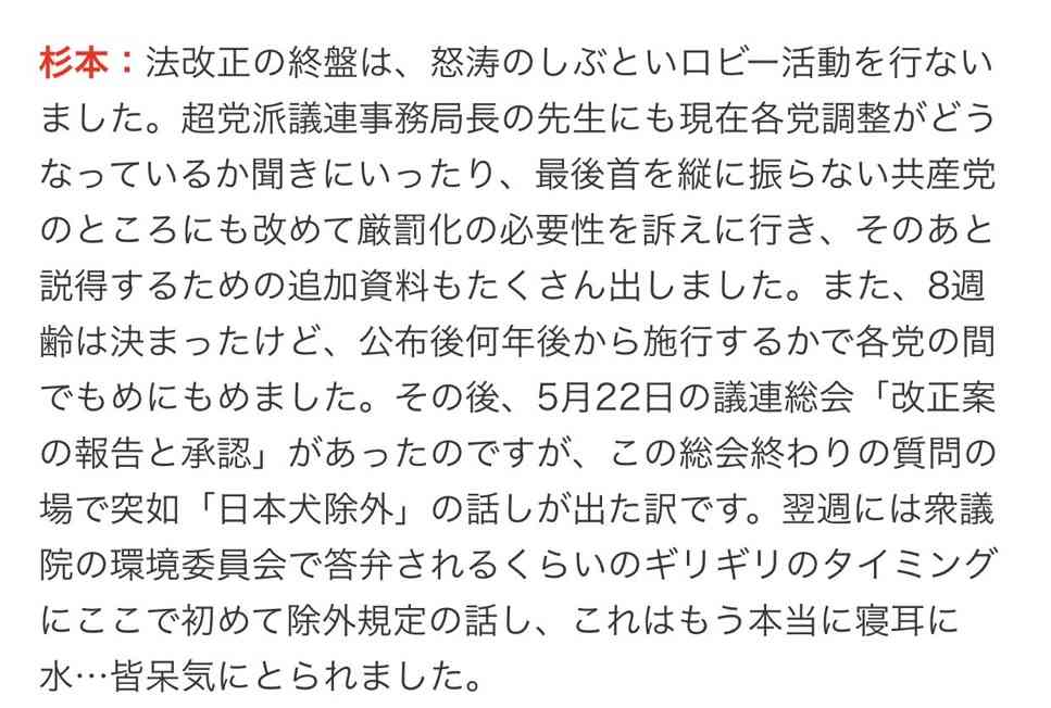 犬猫の「販売やめませんか」…坂上忍さんが目指す寄付頼みの動物保護改革 保護ハウス“さかがみ家”が描く未来
