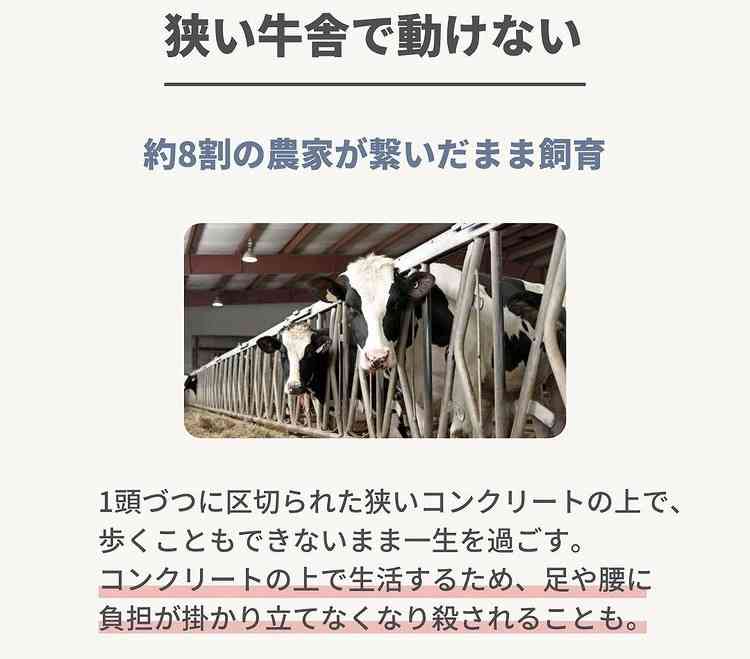 「牛乳をたくさん飲んでほしい」酪農家が悲鳴　コロナ禍に続く飼料価格の高騰に
