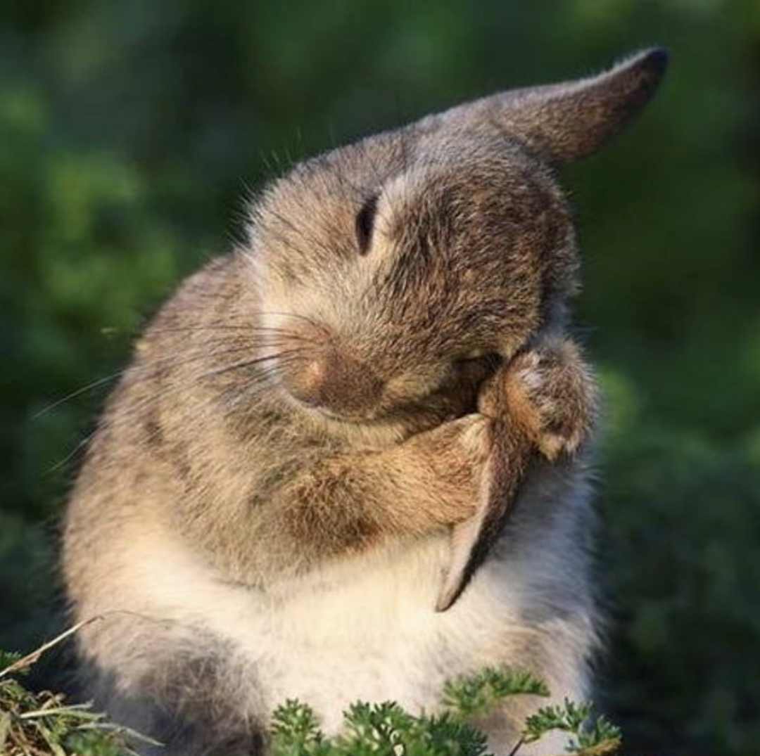 朝シャンブームで大ヒット!「ティモテ」「ちゃん・リン・シャン」昭和世代に刺さるレトロシャンプー