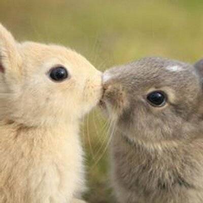 自分の今の目標を言って応援してもらう