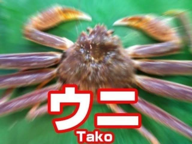 寿司屋で3貫だけ食べるならどのネタにする？