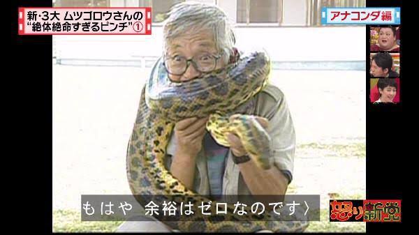 ペットのヘビに巻き付かれた飼い主が失神、警察が発砲して救出 米