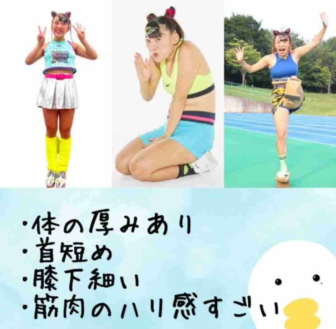 骨格診断、パーソナルカラー、顔タイプ診断が好きな人集合！part8