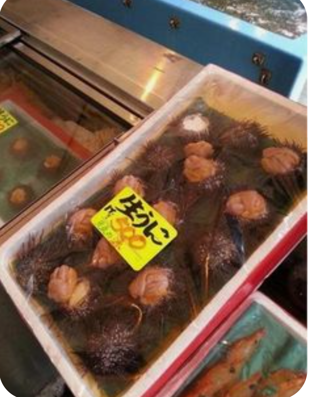 面白い誤字・誤植を貼ってコロナの憂鬱を吹き飛ばすトピpart7