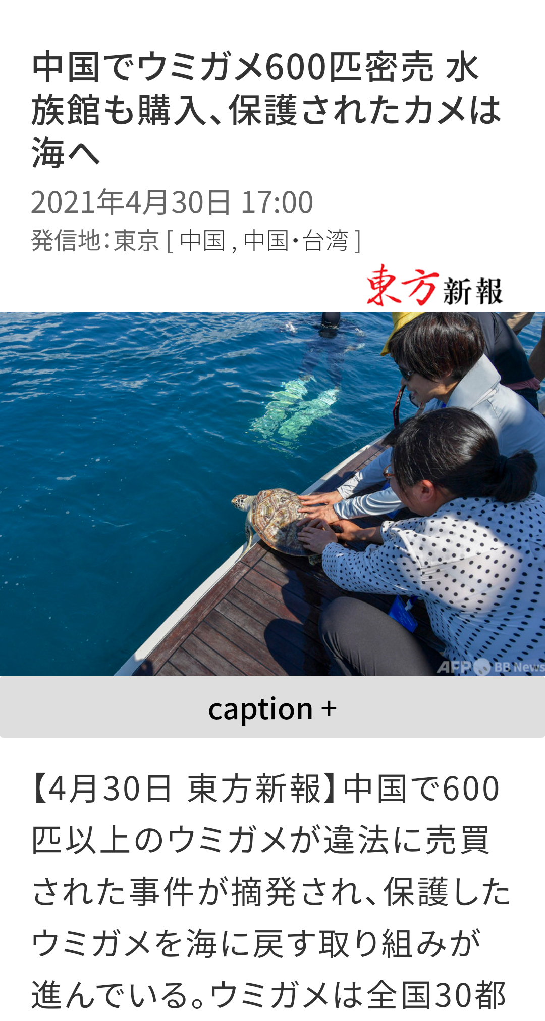 瀕死のウミガメ30匹以上見つかる 首に刺された痕 沖縄・久米島