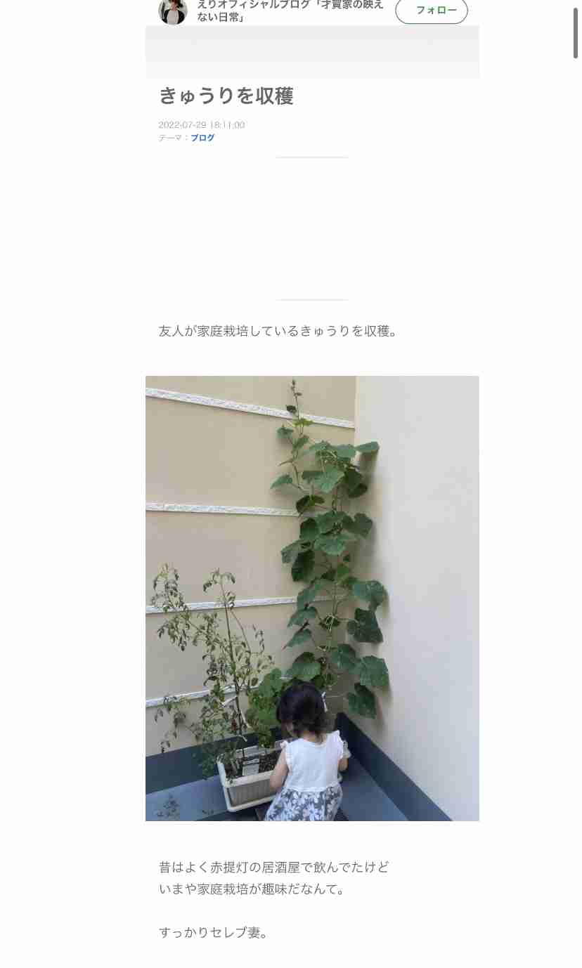 あびる優が告発「前夫・才賀紀左衛門が親権者変更後も7歳娘を