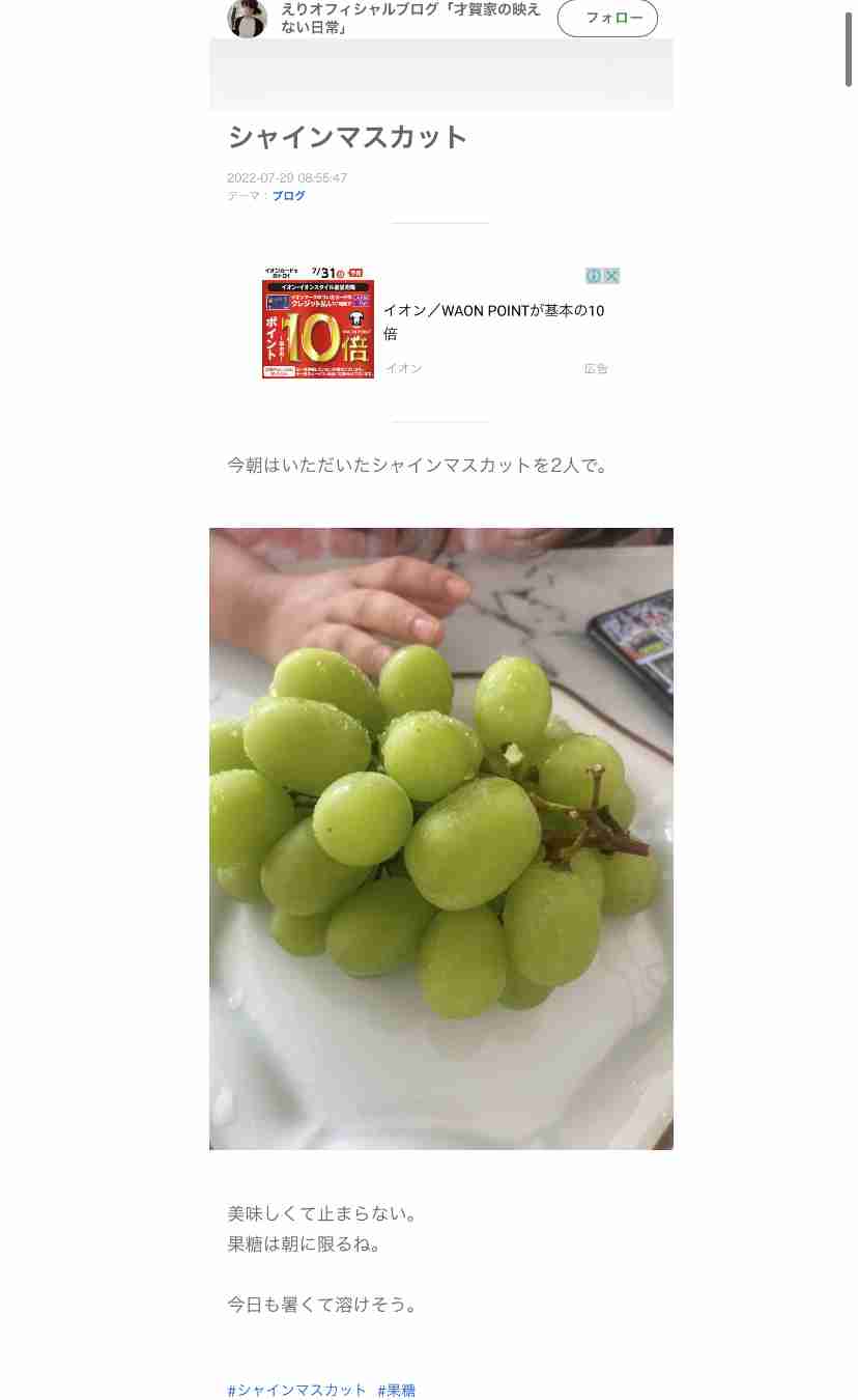 あびる優が告発「前夫・才賀紀左衛門が親権者変更後も7歳娘を