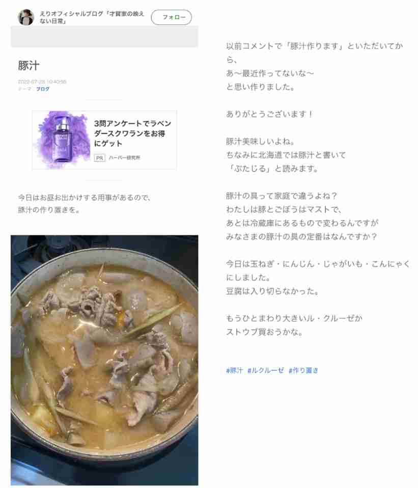 あびる優が告発「前夫・才賀紀左衛門が親権者変更後も7歳娘を
