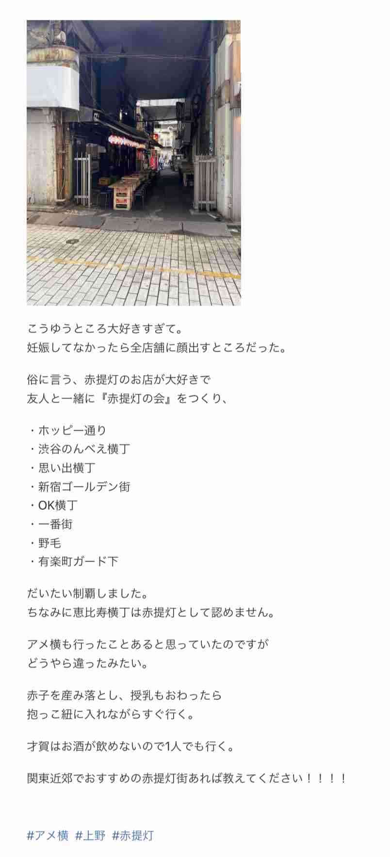 あびる優が告発「前夫・才賀紀左衛門が親権者変更後も7歳娘を