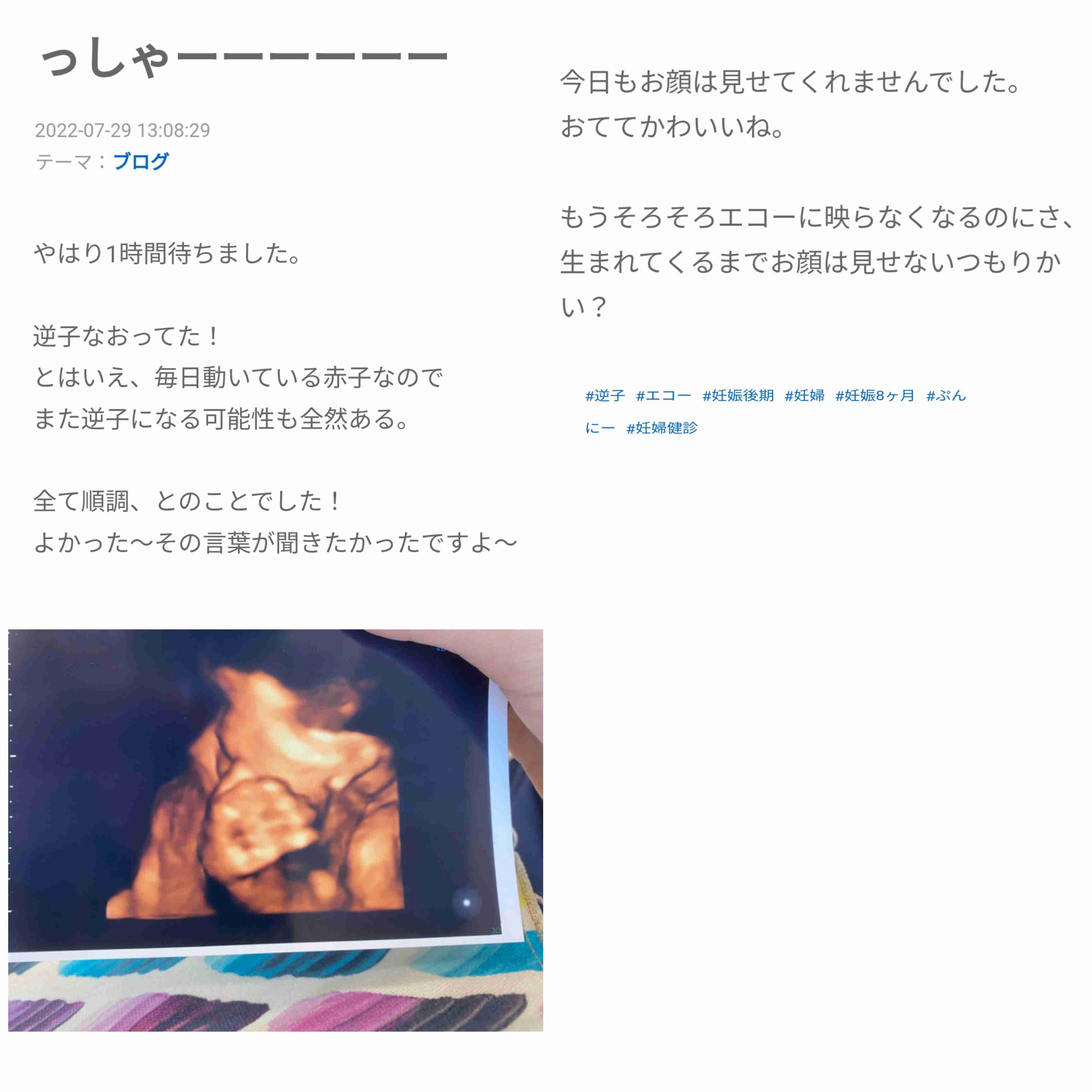 あびる優が告発「前夫・才賀紀左衛門が親権者変更後も7歳娘を