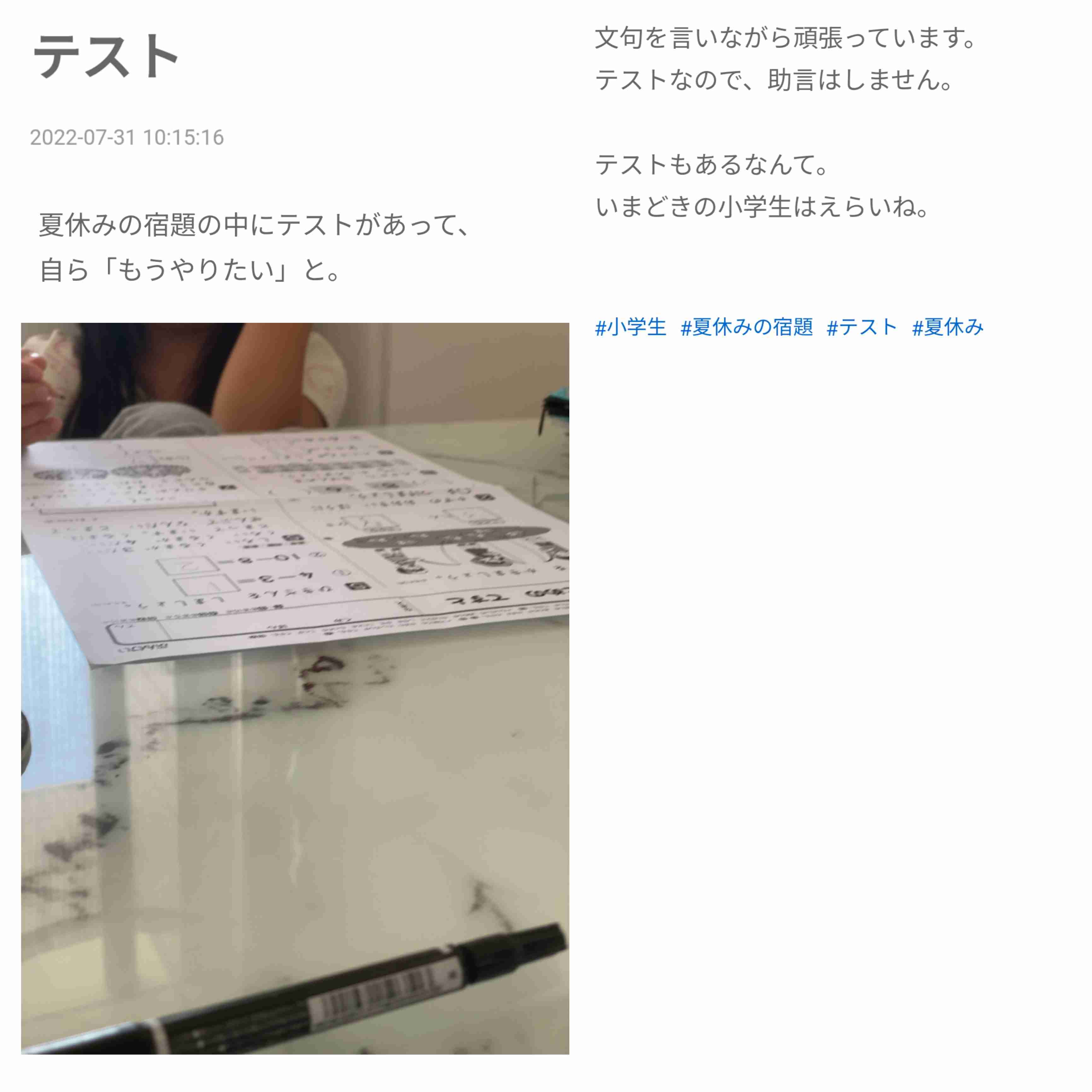 あびる優が告発「前夫・才賀紀左衛門が親権者変更後も7歳娘を