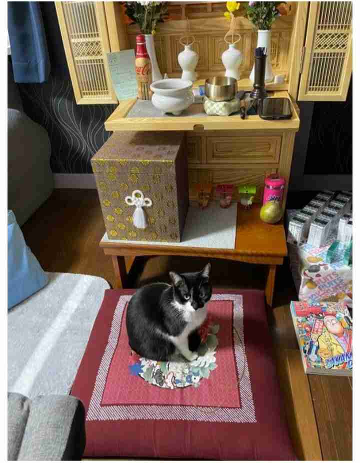 時速157kmで橋の欄干に突き刺さり…5人死傷の“死へのドライブ” 当時18歳への判決は【福島発】