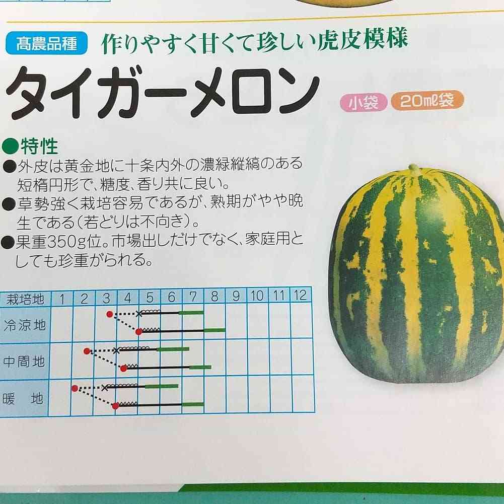 謎のフルーツに遭遇!  ドランクドラゴン塚地武雅「名前分かります?  食べたらメロンみたいな味、美味でした」