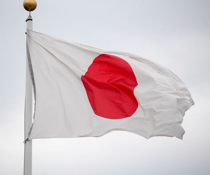 これからの日本に必要な事、必要なもの