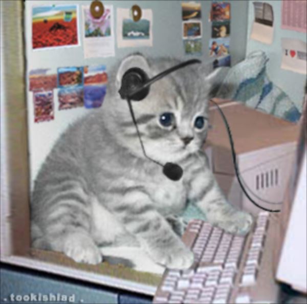 猫語を使う人類