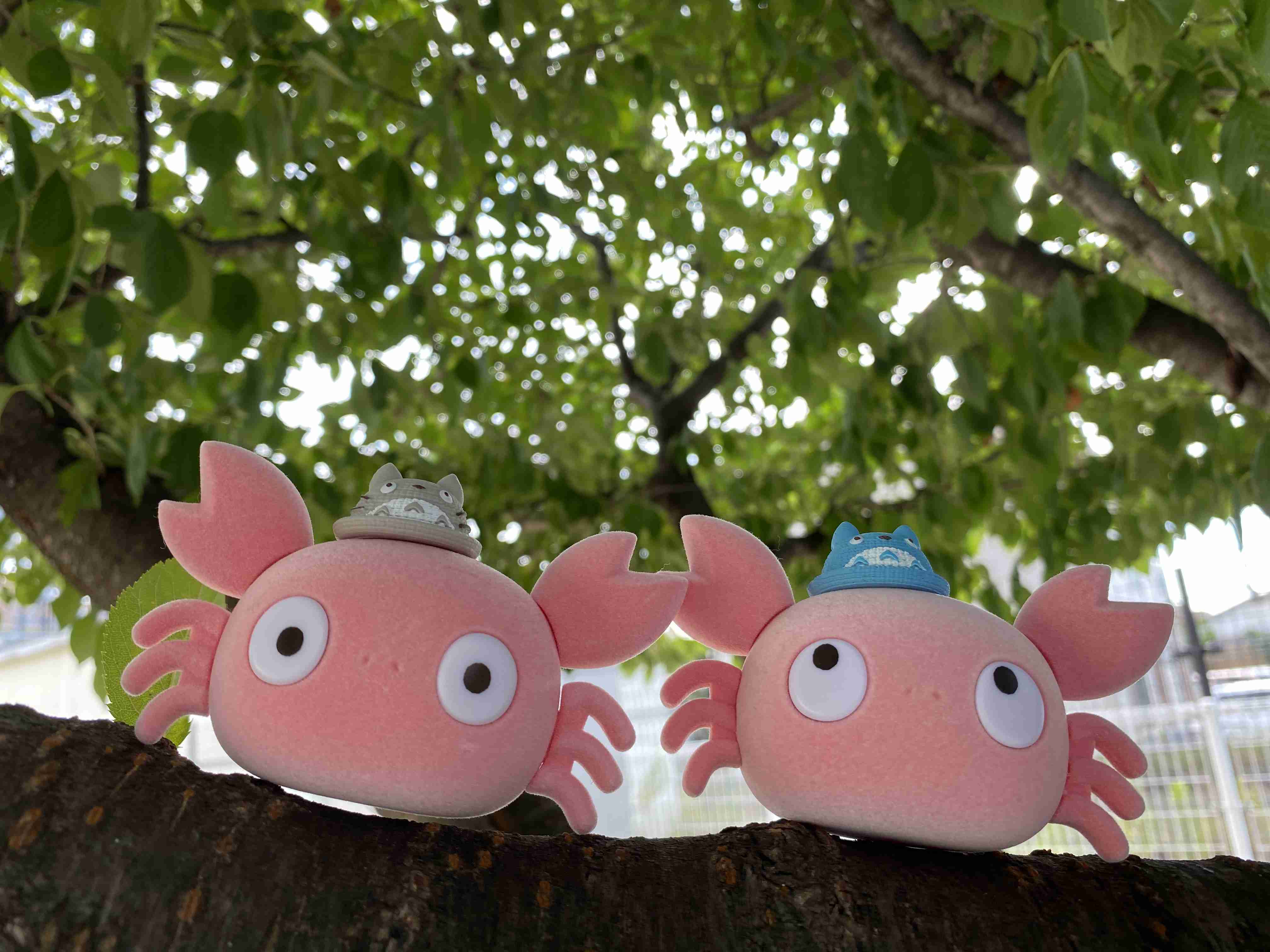 最近ガチャガチャで手に入れたもの見せてください