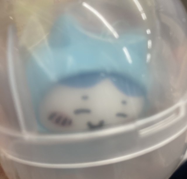 最近ガチャガチャで手に入れたもの見せてください