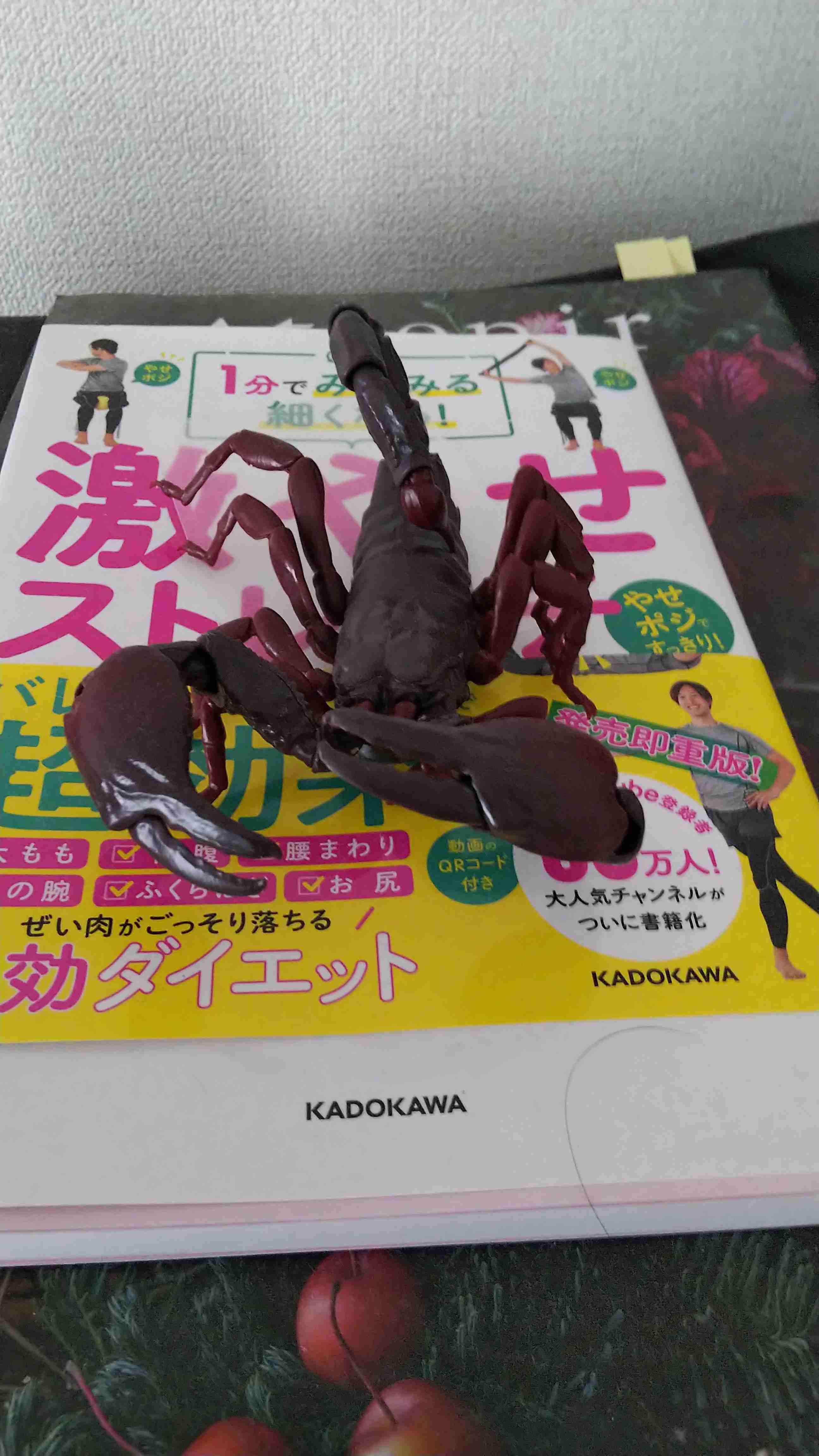 最近ガチャガチャで手に入れたもの見せてください