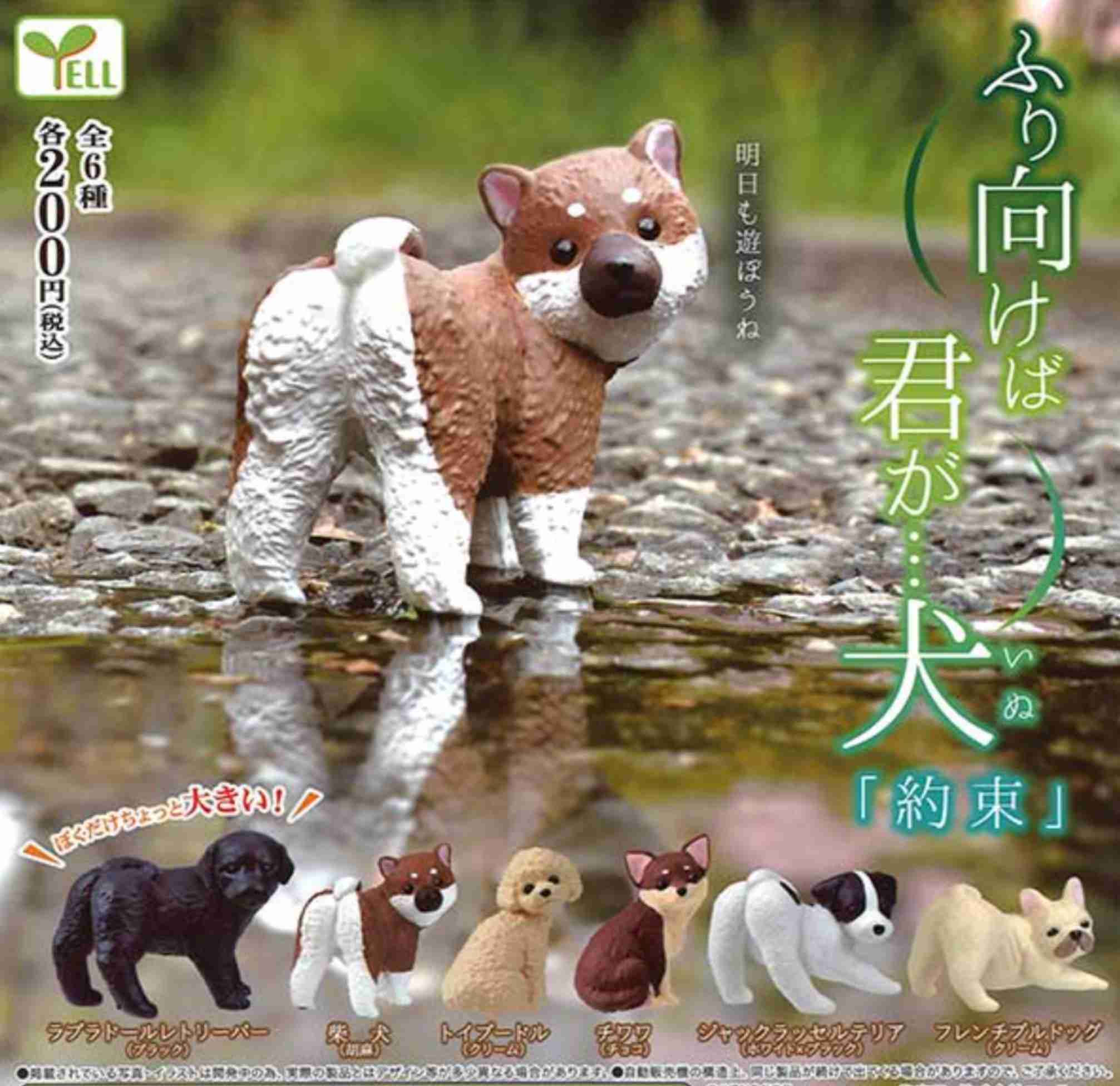 最近ガチャガチャで手に入れたもの見せてください