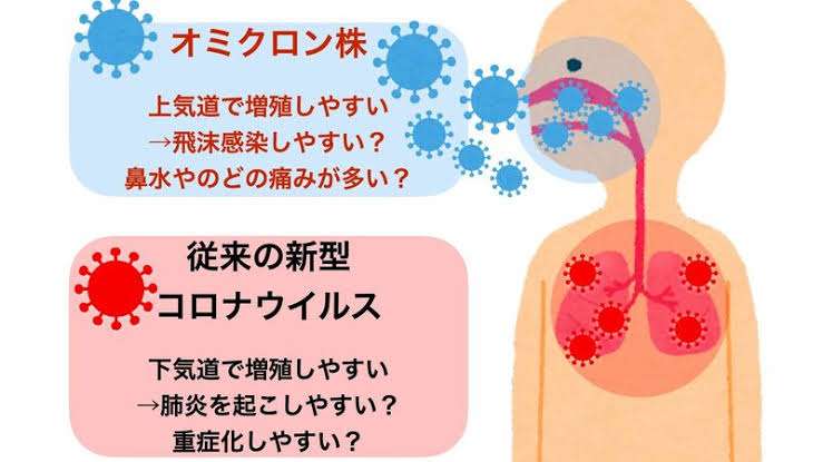 感染症専門医が警鐘　第7波は肺炎より衰弱死　意識レベルや水分摂取落ちれば危険症状