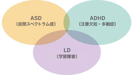 木下優樹菜さん「脳波でADHDが分かった」発言で物議　医師らは全否定