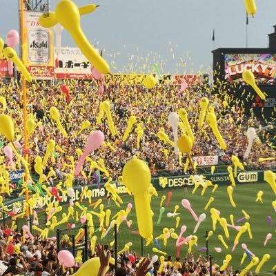 京都大阪観光のオススメ