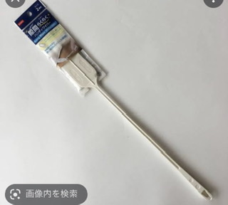 カメムシ注意報、今年すでに24都道府県で発令　大量発生のワケ