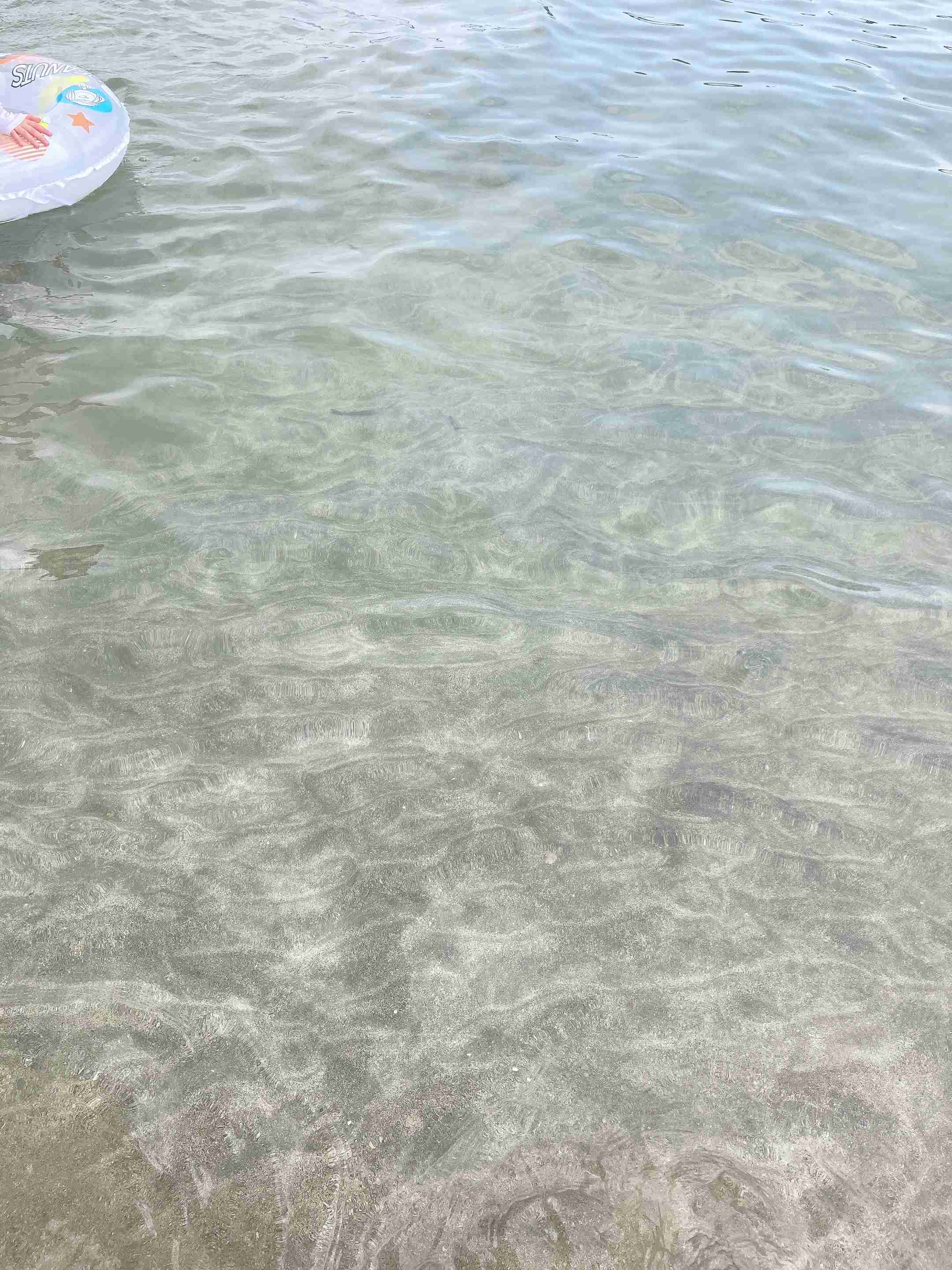 好きな国内の海水浴場はどこですか?