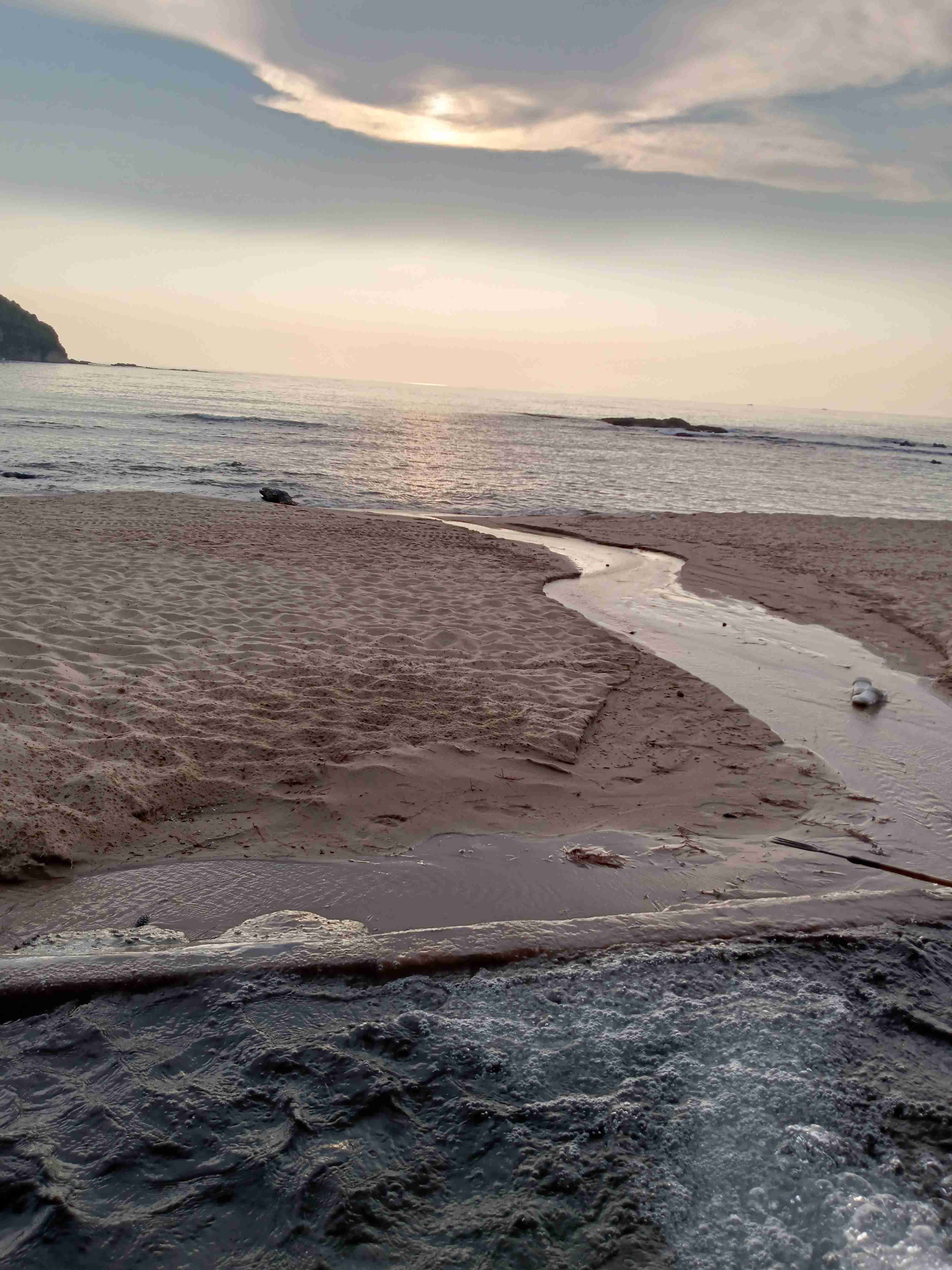 好きな国内の海水浴場はどこですか?