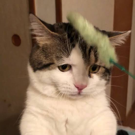 料理を失敗した日