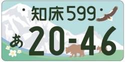 図柄入りナンバープレート