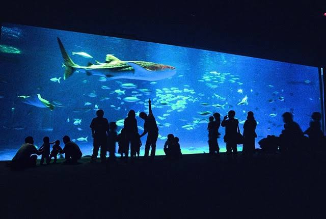 鹿児島旅行のオススメ