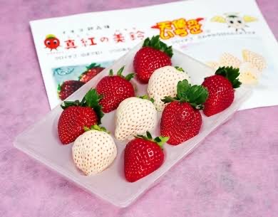 3000円以内で貰って嬉しいプレゼント