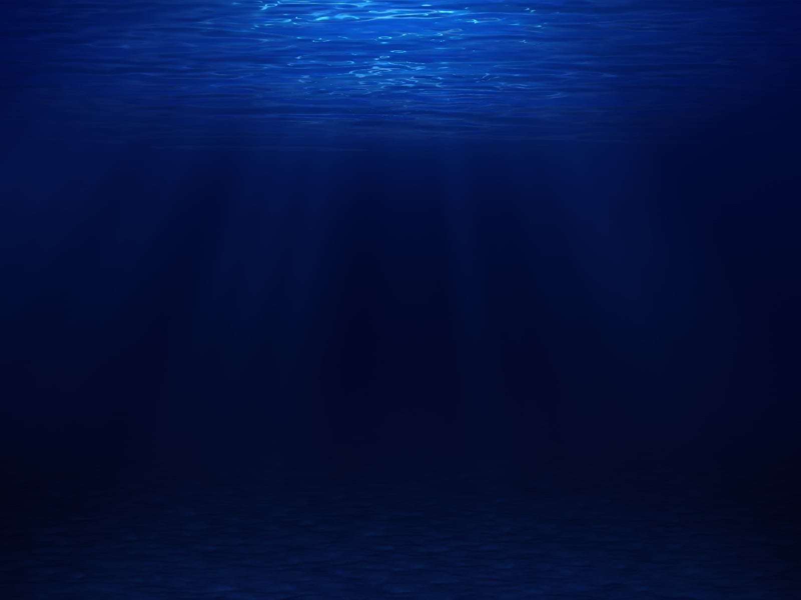 日本人初 水深9801メートルの深海に到達 最深記録60年ぶり更新