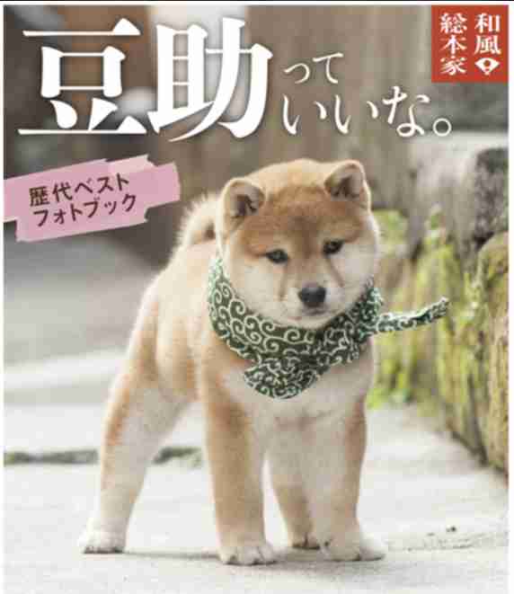 昔大好きだった番組