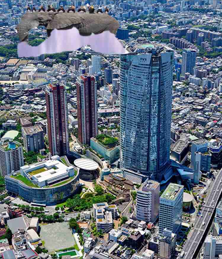 新型コロナ 東京都で新たに4万406人の感染確認 過去最多