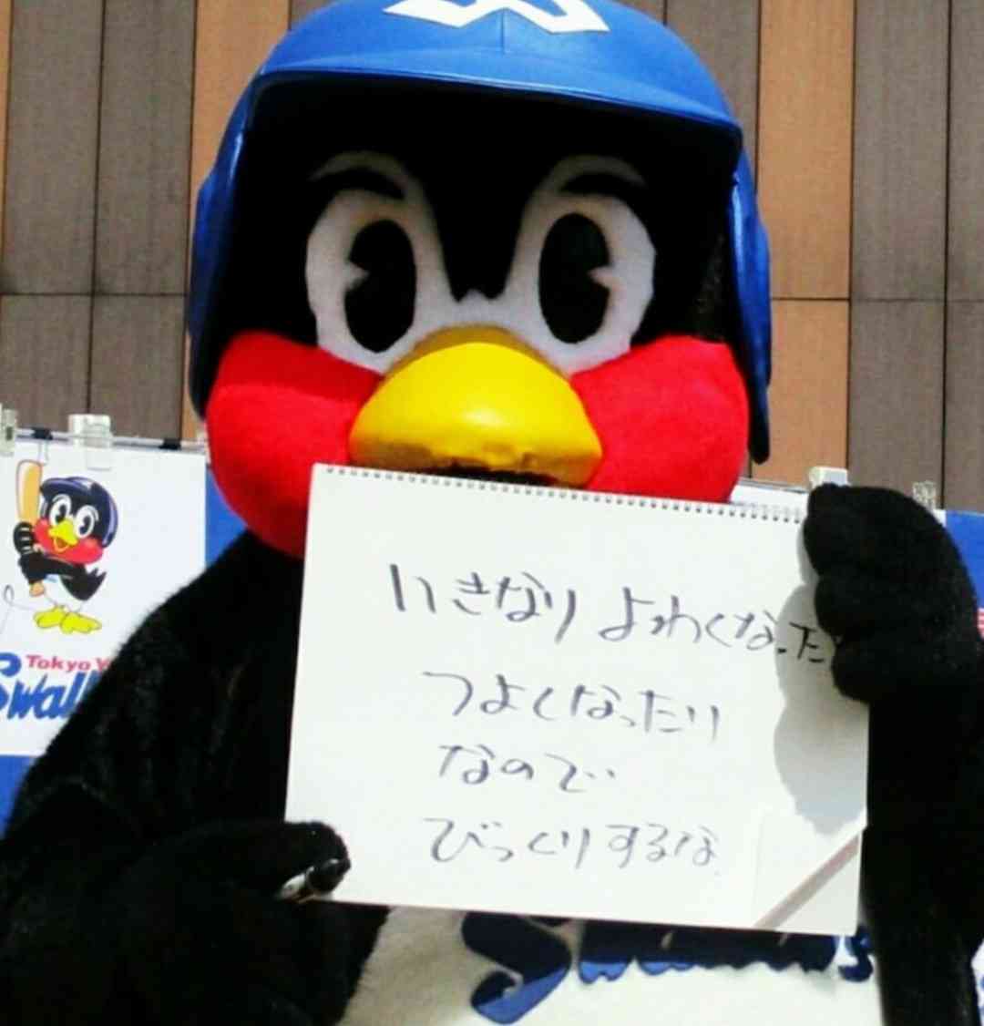 🕊️ヤクルトスワローズファン応援トピ🕊️